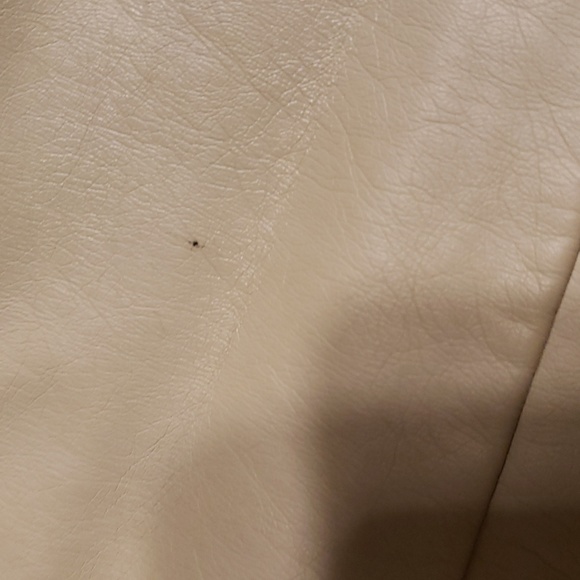 Max Studio Jacket - Picture 7 of 9